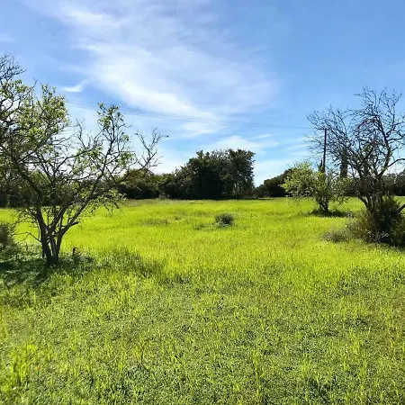 Quinta Das Amendoeiras Holiday home