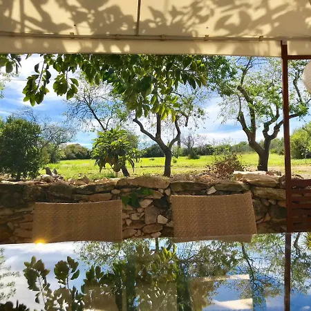 Quinta Das Amendoeiras *