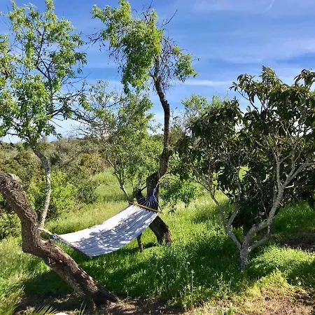 Сasa de vacaciones Quinta Das Amendoeiras *